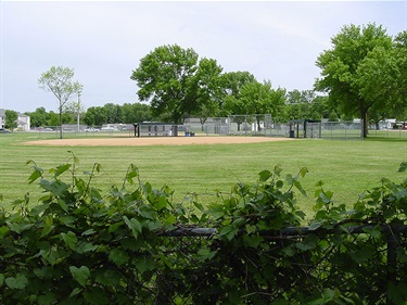 Elmwood Baseball Field