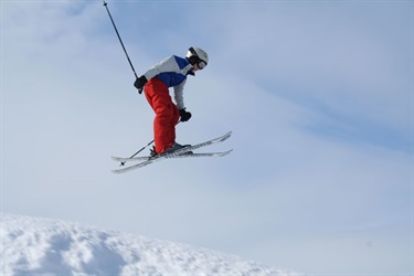 Great Bear Skier