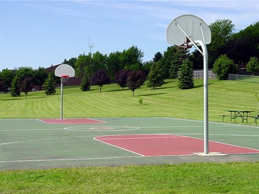 Lions Centennial Park Basketball Court