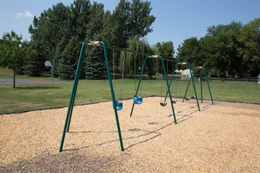 Lions Centennial Park Swings