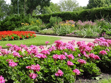 McKennan Park Flower Garden