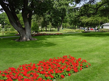McKennan Park Flower Garden 2