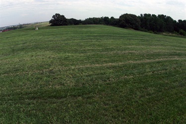 Oak View Meadow