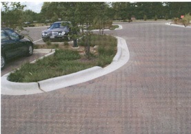Bioswales. These landscape elements slow the speed and reduce the quantity of runoff from parking lots.Rright: Joslyn Art Museum parking lot, Omaha; Left: Commercial parking lot with permeable pavers.